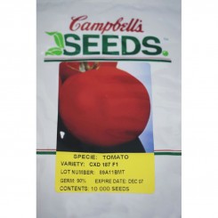 СХД 187 F1 (CXD 187 F1) семена помидора детерминантного (Cambells Seeds)