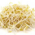 Эконом 10 (10 урожаев) набор семян микрозеленых (Agrocity)