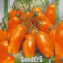 Эрос семян помидора индетерминантного (Seedera)