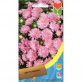 Астра карликовая розовая (Pink) семена (Moravoseed)