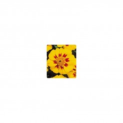 Карнавал Yellow Flame семян бархатцев французских (Kitano Seeds)