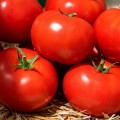 Манами F1 (КС 21 F1) семена помидора индетерминантного (Kitano Seeds)