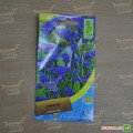Лимониум синий (blue) семян (Moravoseed)