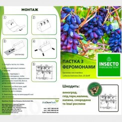 Листовийка кирпичная феромонная ловушка (БИОхимтех)