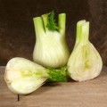 Мамонт семян фенхеля (Hortus)