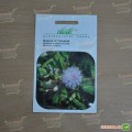 Мимоза застенчивая (стыдливая) семян (Hem Zaden)