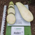 Навал F1 семян бакалажана раннего 57-60 дн. 400-800 гр 20-25 см овал. (Sakata)