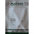 Окинава Formula mixed семена мимулюса крупноцветкового (Kitano Seeds)