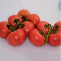 Пинк Делайт F1 семена помидора индетерминантного (Ergon seeds)