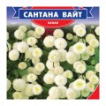 Сантана Уайт семена матрикарии (GL Seeds)