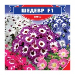 Шедевр F1 семян цинерарии (GL Seeds)