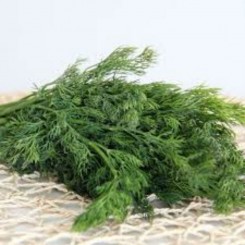Скіф насіння кропу (GL Seeds) Скіф насіння кропу (GL Seeds)