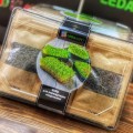 Солнечное Зернышко набор для выращивания микрозеленые (World of Seeds)
