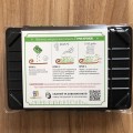 Солнечное Зернышко набор для выращивания микрозеленые (World of Seeds)