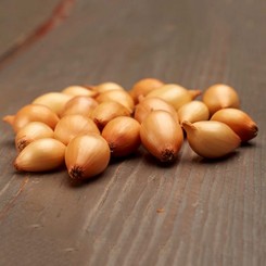 Стурон (10-21 мм) сіянка цибулі (TOP Onion Sets)