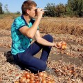 Титан F1 семян лука репчатого желтого (LibraSeeds)