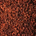 Воевода F1 семена свеклы столовой (Lucky Seed)