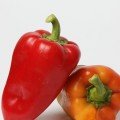 Арбалет F1 насіння перцю солодкого (Lucky Seed)