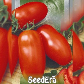 Банан красный семена томата индетерминантного (Seedera)