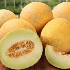 Берегиня семян дыни (Гелиос)