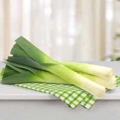 Булгаріан Гігант насіння цибулі порей (Wing Seed)