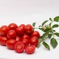 Чезена F1 насіння помідора детермінантного (LibraSeeds)