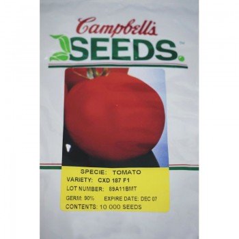 СХД 187 F1 (CXD 187 F1) семена помидора детерминантного (Cambells Seeds)