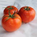 Дуал Лардж F1 насіння помідора детермінантного (Ergon seeds)