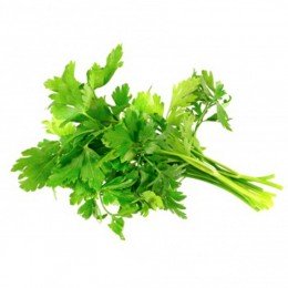 Джента семян кориандра (Soto Seeds)