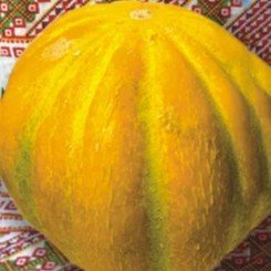 Эфиопка семян дыни (Гелиос)