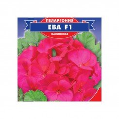 Ева F1 семена пеларгонии (GL Seeds)