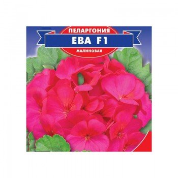 Ева F1 семена пеларгонии (GL Seeds)