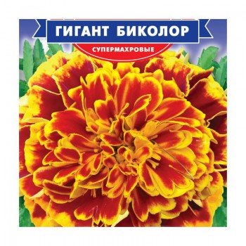 Гігант біколор насіння чорнобривців (GL Seeds)