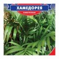 Хамедорея семян пальмы (GL Seeds)
