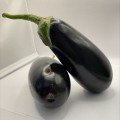 Классик F1 семян баклажана раннего (Clause)