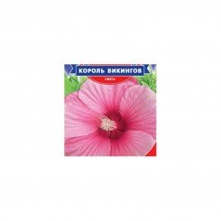Король викингов семян гибискуса (GL Seeds)