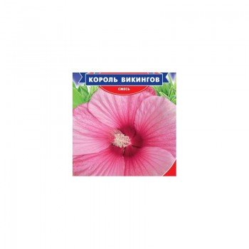Король викингов семян гибискуса (GL Seeds)
