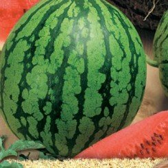 Кримсон Світ насіння кавуна середньоран. 80-85 дн. 10-12 кг окр. (Moravoseed)
