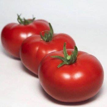 КС 202 F1 насіння помідора індетермінантного (Kitano Seeds)