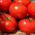 Манамі F1 (КС 21 F1) насіння помідора індетермінантного (Kitano Seeds)