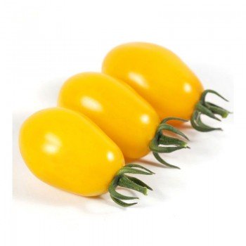 КС 3690 (KS 3690) F1 семена помидора черри детерминантного (Kitano Seeds)