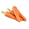 Лес Сайнтес F1 (Les Saintes F1) (1,6-1,8) насіння моркви (Seminis)