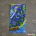 Лімоніум синій (blue) насіння (Moravoseed)