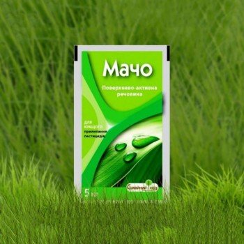Мачо прилипач (Сімейний сад)