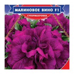 Малинове вино F1 насіння петунії (GL Seeds)