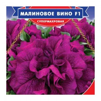 Малинове вино F1 насіння петунії (GL Seeds)