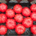 Марсалато F1 Organic семена томата индет. тип Марманде раннего 190 г ребер. черв. драж. (Enza Zaden / Vitalis)