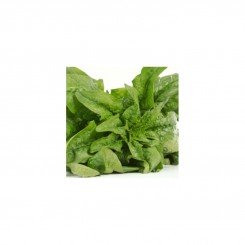 Мисано семена шпината (Semo)