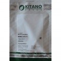 Окінава Formula mixed насіння мімулюса великоквіткового (Kitano Seeds)