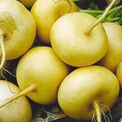 Петрівське насіння ріпи (Satimex) Петрівське насіння ріпи (Satimex)